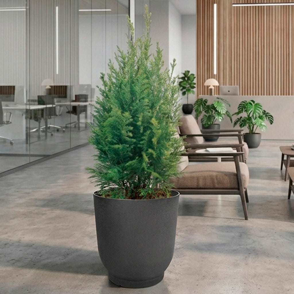 Florencia 20" W x 21" H Planter