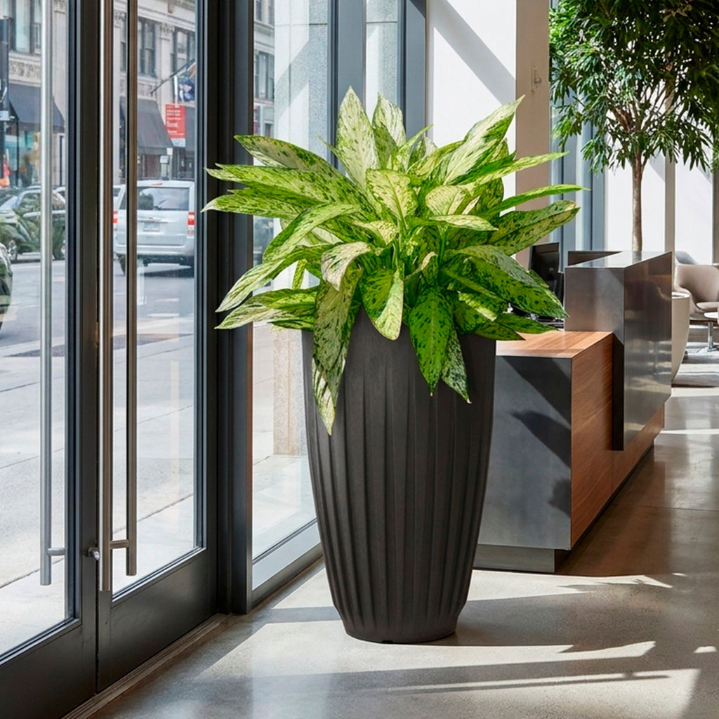 Harmony 16" W x 26" H Planter