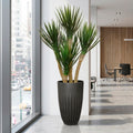 Harmony Planter with Rostrata Yucca Tree