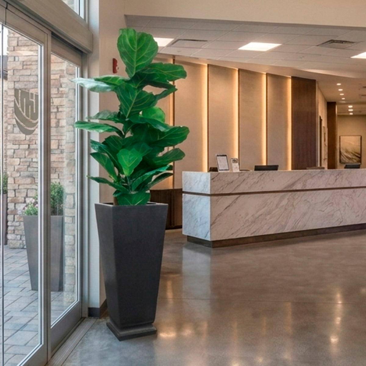 Empire Planter with Fiddle Leaf Tree