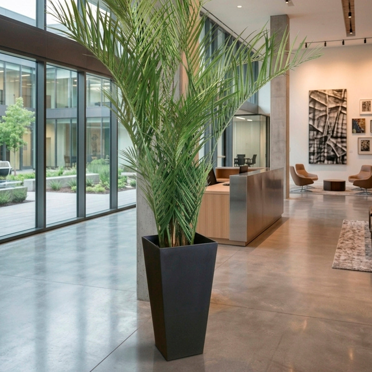 Large Sonata Planter with Areca Palm