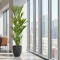 Florencia Planter with Kentia Palm Tree